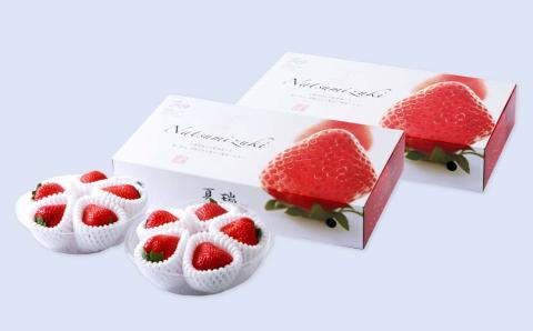 2025年発送☆【夏イチゴ】奇跡のひと粒「夏瑞」4パックセット