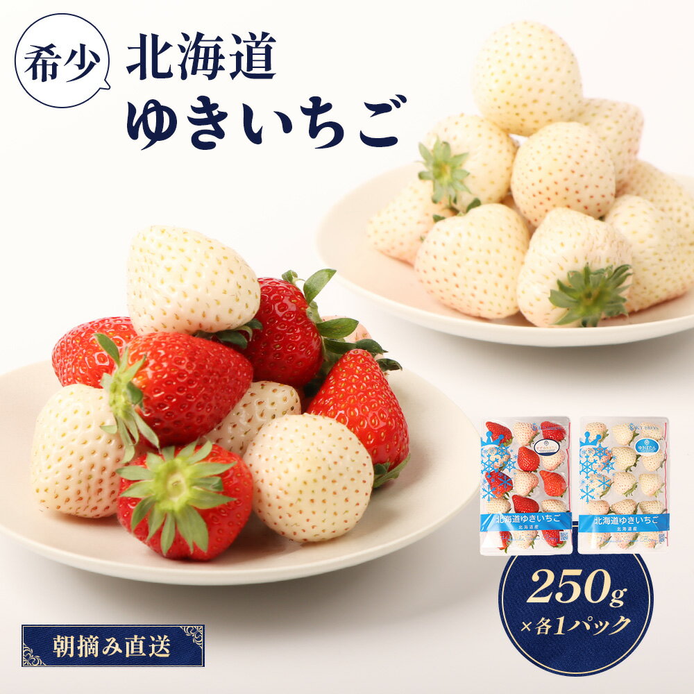【ふるさと納税】【11月以降、随時発送！】【北海道産】ゆきいちご（ゆきぼたん/紅ほっぺ）白×MIX 2Pセット 各250g×2 計500g 苺 白いちご 一季成りイチゴ 希少 ギフト お取り寄せ ふるさと納税 北海道 中標津町【59002】
