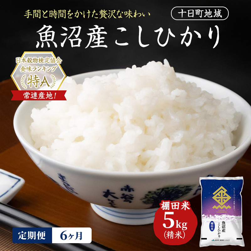 【令和8年産 先行予約】【6ヶ月定期便】魚沼産こしひかり 棚田米(十日町地域) 精米 5kg 米 お米 コシヒカリ 定期 十日町市