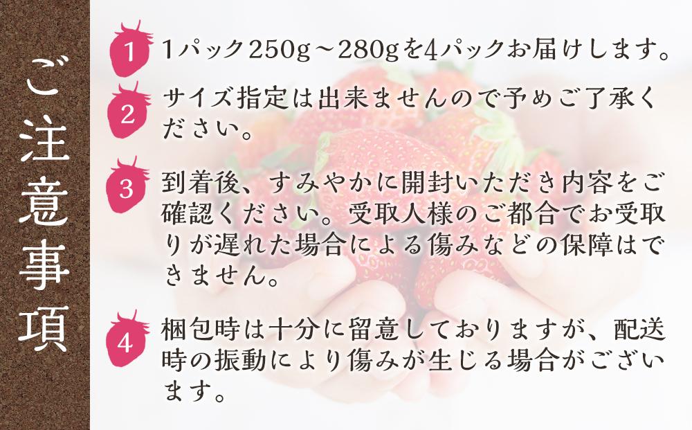 まりひめ 4パック【2025年1月発送分】