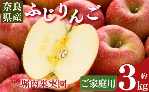 【堀内果実園】奈良県産のふじりんご 約3kg（ご家庭用） ? フルーツ くだもの 果物 りんご 林檎 リンゴ ふじりんご おすすめ 自宅用 奈良県 五條市