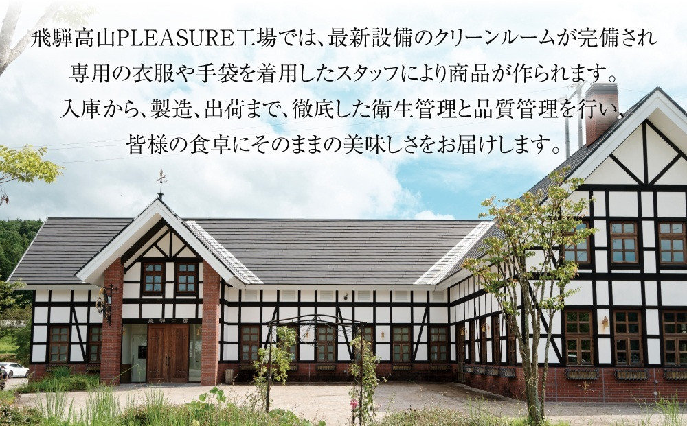 飛騨牛 赤身（スライス・焼肉） 600g（150g×各2パック ） 冷凍真空パック | 肉 お肉 焼肉 焼き肉 やきにく すき焼き すきやき しゃぶしゃぶ 黒毛和牛 和牛 個包装 小分け 人気 おすす