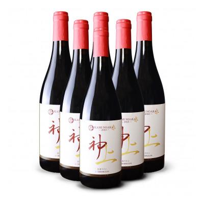 ふるさと納税 上ノ国町 北海道 上ノ国ワイナリーの赤ワイン「上の赤2023」　750ml×6本