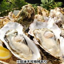 【ふるさと納税】秀栄水産 瀬戸内の 牡蠣 （殻つき 大粒15粒） 海の幸 海のミルク 海鮮 貝 岡山県 瀬戸内市 虫明湾　【魚介類 カキ 牡蠣 大粒】　お届け：2024年1月中旬～2024年3月中旬