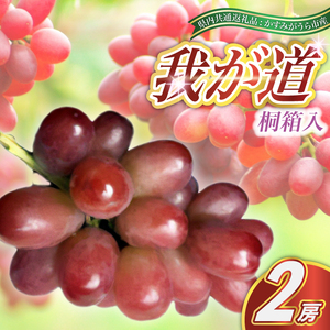 我が道 桐箱入り 2房 ＜2026年8月より順次発送予定＞ (県内共通返礼品:かすみがうら市産)  ギフト 贈答 フルーツ 果物 くだもの ぶどう ブドウ 葡萄 甘い 新鮮 季節限定 秋 期間限定 旬 旬の果物 季節の果物 茨城
 (BR098)