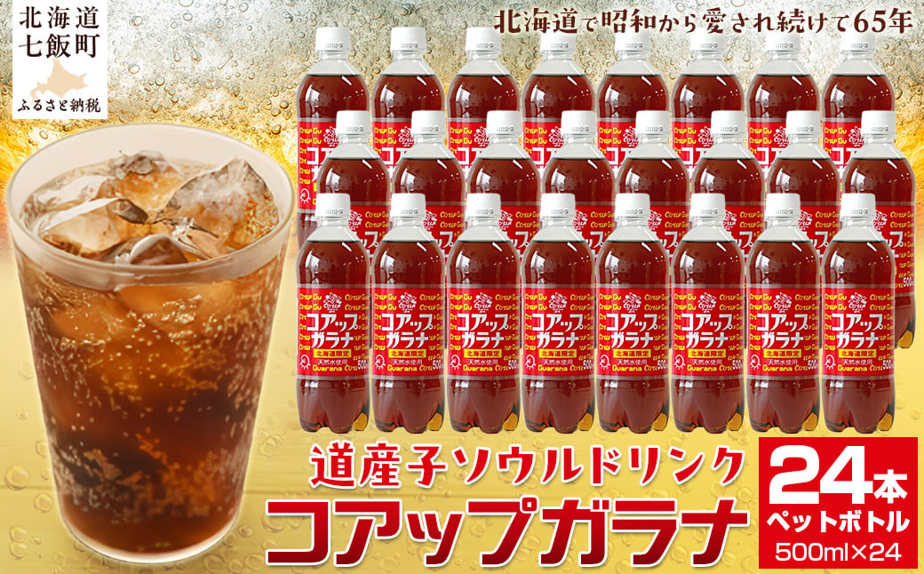 コアップガラナ24本セット（500mlペットボトル）