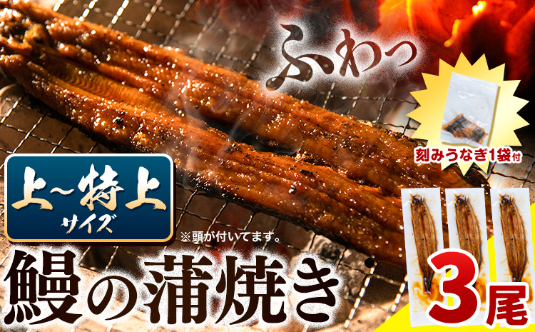 うなぎ 国産 鰻の蒲焼 3尾 ＋ きざみうなぎ 30g×1袋 上〜特上サイズ《30日以内に出荷(土日祝除く)》| うなぎ 蒲焼 国産 うなぎ 小分け うなぎ 国産 うなぎ 父の日 うなぎ 母の日ギフト うなぎ 簡易包装 送料無料 徳島県 上板町