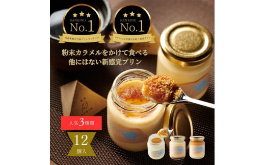 
0541 プリン専門店Totto PURIN プリン食べ比べ12個セット
