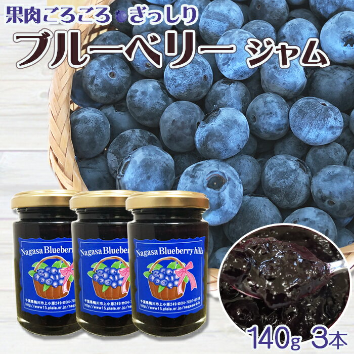 【ふるさと納税】《数量限定》【無添加・手づくり】果肉ごろごろ！『ブルーベリージャム』 140g × 3本　[0009-0034]