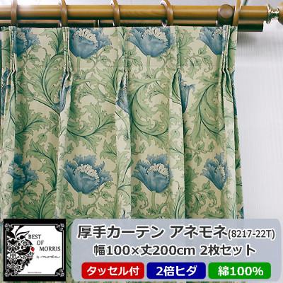ふるさと納税 茅野市 厚地カーテン アネモネ(22T) 幅100×丈200cm×2枚　Fabric by ベストオブモリス