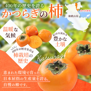 先行予約 富有柿 赤秀品大玉6個～8個入 こだわり農家厳選【2026年10月末から11月末頃順次発送】| 和歌山 柿 かき フルーツ 果物 くだもの 刀根 種無し【kgr043】