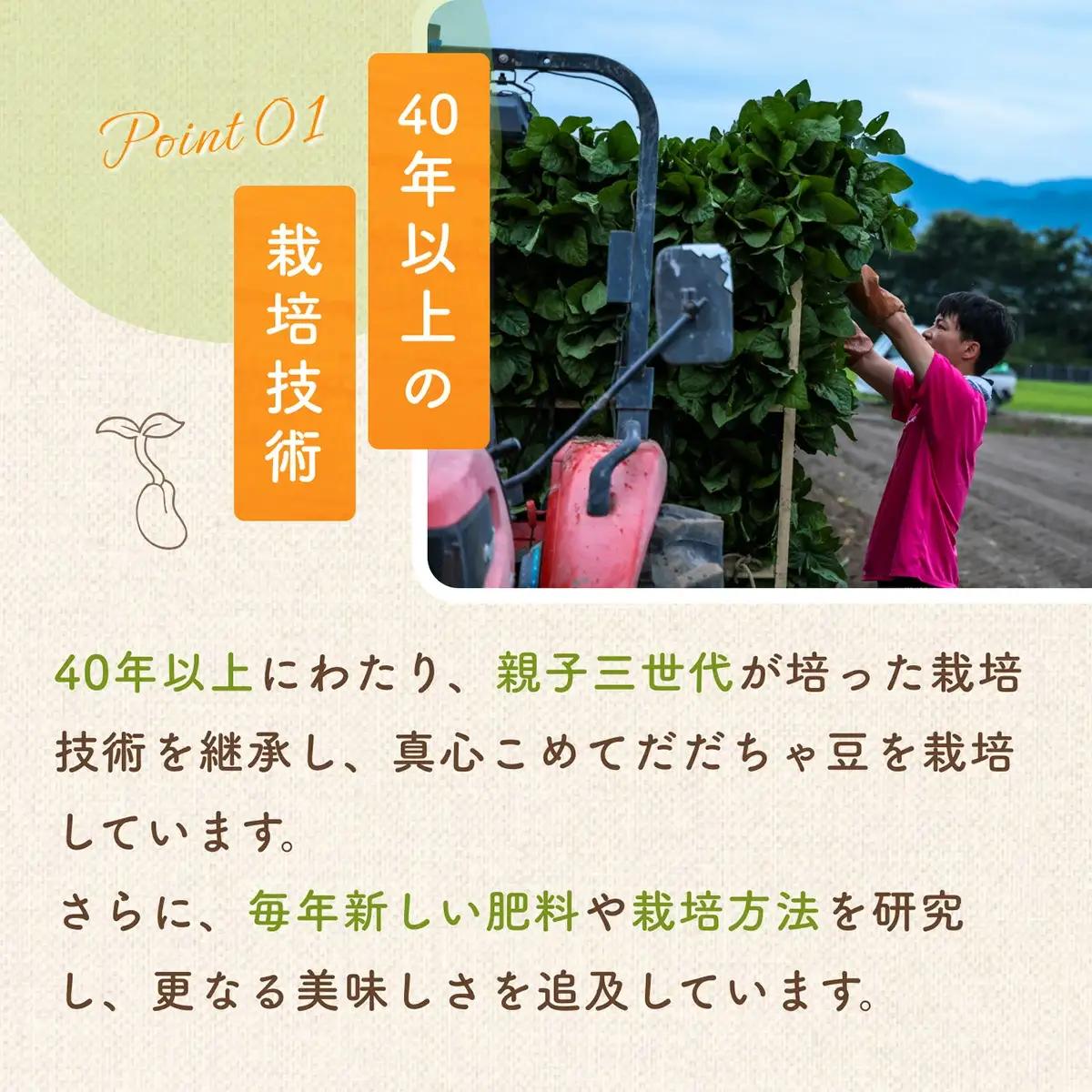 【令和8年産 先行予約】だだちゃ豆　(晩生)　1000g（500g×2袋） だだちゃ喜左衛門株式会社　枝豆 1kg