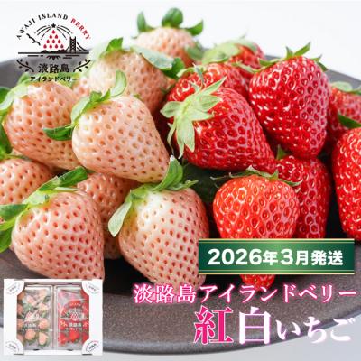 ふるさと納税 淡路市 淡路島アイランドベリー　紅白いちご【2026年3月発送予約受付・お届け日指定不可】　as14830