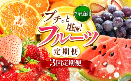 【 定期便 3回 】 プチっと 堪能 ！家庭用 フルーツ定期便 | 果物 フルーツ 高評価 いちご みかん 不知火 スイカ ぶどう 梨 柿 アイス クレープ 2回 ～ 12回 1年 お試し 旬 採れたて 熊本県 玉名市