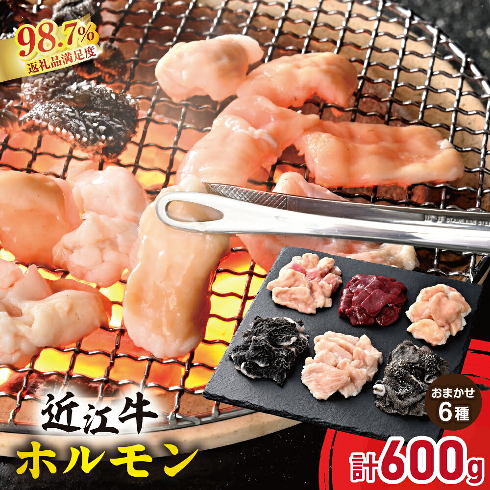 【 ふるさと納税 】 近江牛 ホルモン 6種 盛り合わせ セット 600g 冷凍ホルモン ホルモンミックス ホルモン焼き 牛ホルモン 和牛ホルモン 国産牛ホルモン ホルモン焼肉 牛もつ もつ 焼肉 牛肉 牛 詰め合わせ 冷凍 まる亀畜産 カメチク