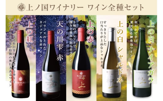 北海道上ノ国町 上ノ国ワイナリーワインセット（上の紅、天の川雫･赤、上の赤、上の白シャルドネ2023、上の白ナイアガラ2022）　750ml×各1本