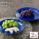 【ふるさと納税】【波佐見焼】青流し 25cm リム付プレート 瑠璃色 大皿 2枚セット【福田陶器店】 [PA256]