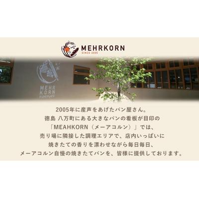 ふるさと納税 徳島市 訳あり もったいないパンセット 12個(ロスパン おまかせ 詰め合わせ 冷凍パン) |  | 01