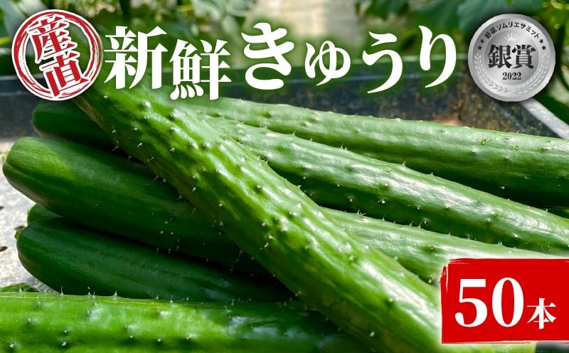 
            ＜産直＞きゅうり50本 きゅうり 胡瓜 野菜 夏野菜 サラダ 冷麺 漬物 漬け物 ぬか漬け 酢の物 1本漬け 浅漬け 冷やしきゅうり キムチ きゅうりちくわ ちくわきゅうり 産地直送 新鮮  千葉県 旭市 奈良ファーム nrf001
          