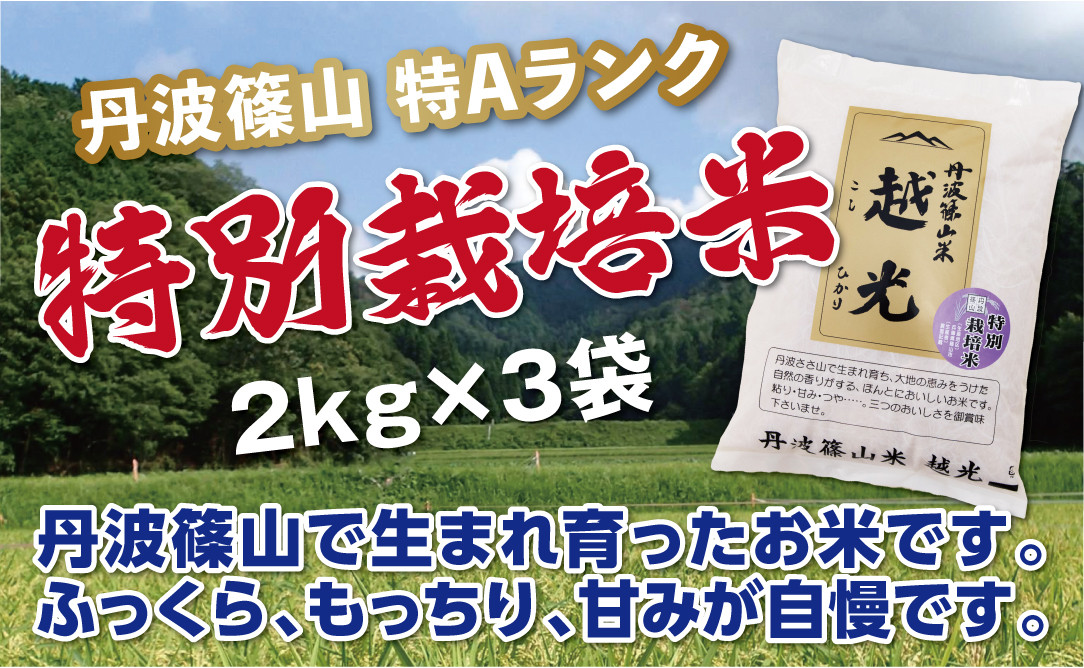 
            【令和7年産 2025年9月以降、順次発送】丹波篠山産　特Aランク　特別栽培米　越光（２ｋｇ×３袋） 兵庫県 丹波篠山市 白米 100％単一原料米 産地直送米 贈答 おいしい お米 精米 コシヒカリ ブランド おこめ 健康 ギフト 内祝い 贈り物 送料無料 おすすめ 人気 口コミ
          
