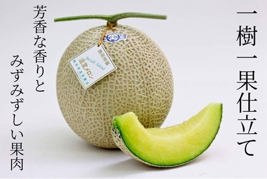 
            アローマメロン 1玉 1.4～1.8kg 白 静岡 美味しい おいしさ 甘さ 糖度 香り 食べ頃 フルーツ 果物 くだもの 品種 贈答用 プレゼント メロン 美容 ギフト 人気 果物 おすすめ スイーツ デザート 健康 めろん マスクメロン 静岡県 温室 農業 協同 組合 果実 栽培 産地直送 日光 極実屋 温室 静岡県 牧之原市 ギフト 贈答用 プレゼント 贈答 KIWAMIYA 産地直送
          