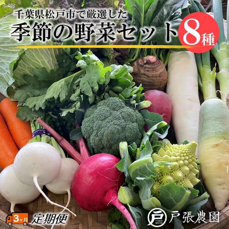 【ふるさと納税】野菜 定期便 3回 厳選 おまかせ 野菜セット 8種 トマト 大根 キャベツ ナス とうもろこし キュウリ しいたけ ほうれん草 小松菜 ズッキーニ かぼちゃ さつまいも ブロッコリー 菜の花 福袋 セット 農家 旬 美味しい ネギ 枝豆 春 夏 秋 冬 オクラ いんげん