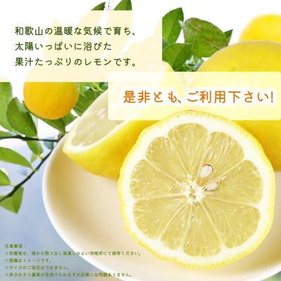 ふるさと納税 那智勝浦町 【ご家庭用訳あり】紀州有田産レモン　2.5kg |  | 03