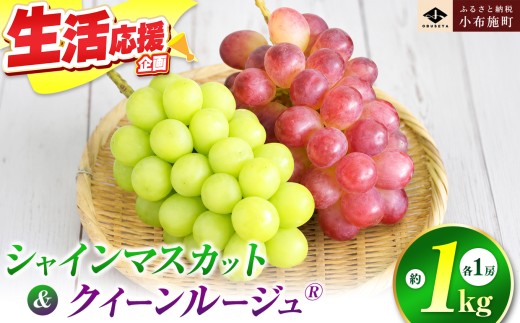 シャインマスカット＆クイーンルージュ_ 約1kg 各1房 ［小布施屋］ 果物 フルーツ ぶどう 葡萄 令和8年産【2026年9月下旬～11月上旬発送】 ［A-300］