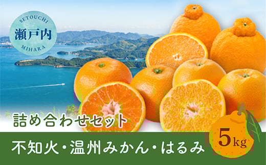 【先行受付】瀬戸内 旬の柑橘詰め合わせ 約5kg 白鷺農園《2026年2月下旬～4月上旬頃出荷》温州ミカン ハルミ 不知火 デコポンと同品種  柑橘 フルーツ 果物 はるみ みかん しらぬい デコポン 贈答 164004