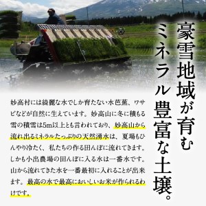 【2026年7月上旬発送】令和7年産 新潟県妙高産つきあかり10kg無洗米※沖縄県・離島配送不可
