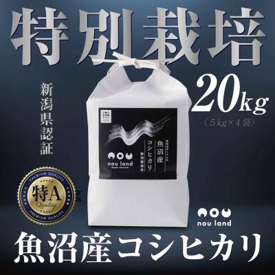 ふるさと納税 十日町市 【令和7年産 新米予約】 農家直送 魚沼産 コシヒカリ 特別栽培米 20kg 十日町市 のうランド
