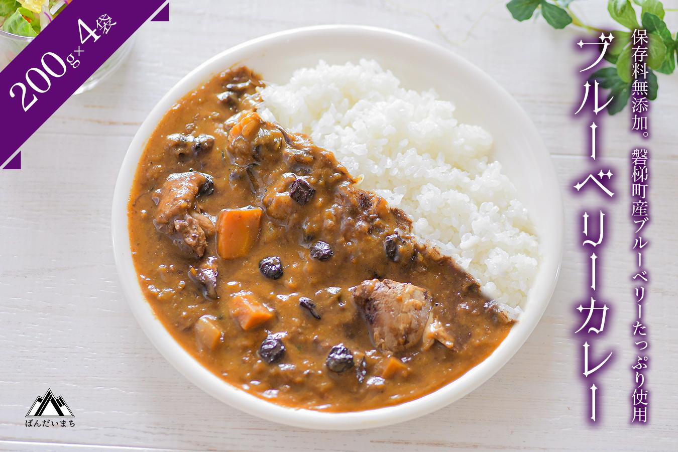 
                  ブルーベリーカレー
                