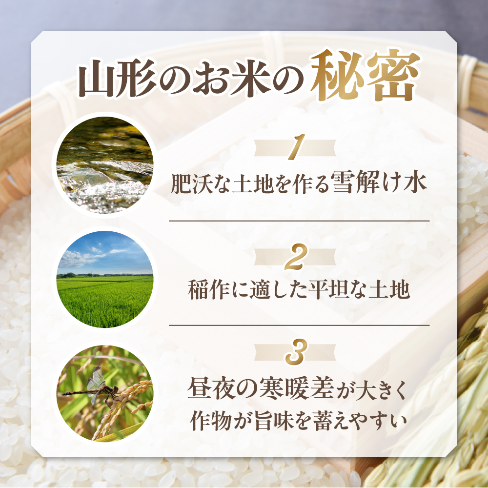 【令和6年産米 先行予約】☆2025年5月前半発送☆ 雪若丸 5kg（5kg×1袋）山形県 東根市産　hi003-118-051-2