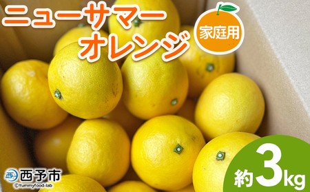 【先行予約】＜ニューサマーオレンジ 家庭用 約3kg＞ 訳あり わけあり 自宅用 果物 フルーツ みかん ミカン 蜜柑 オレンジ 柑橘 にゅーさまーおれんじ 選べる 食べて応援 特産品 柑橘園柴田 愛媛県 西予市【常温】『2027年4月中旬～5月中旬迄に順次出荷予定』MKE0010