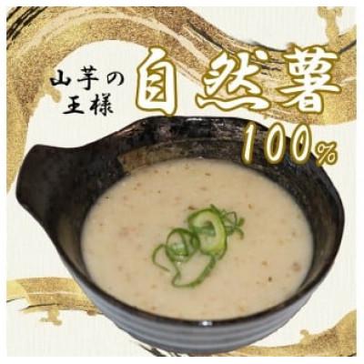 ふるさと納税 藤枝市 自然薯 100% 冷凍 味付けとろろ汁 6個セット |  | 01