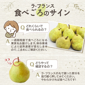 《先行予約》特別栽培 大玉 ラ・フランス 約5kg・秀品4L～3L 【2024年11月上旬頃～発送予定】【糖度13度以上・山形洋梨・大江町産・鈴木果樹園】 025-019