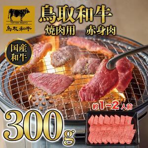 鳥取和牛 焼肉用 赤身肉（モモ、ウデ） 計300g KT010-013