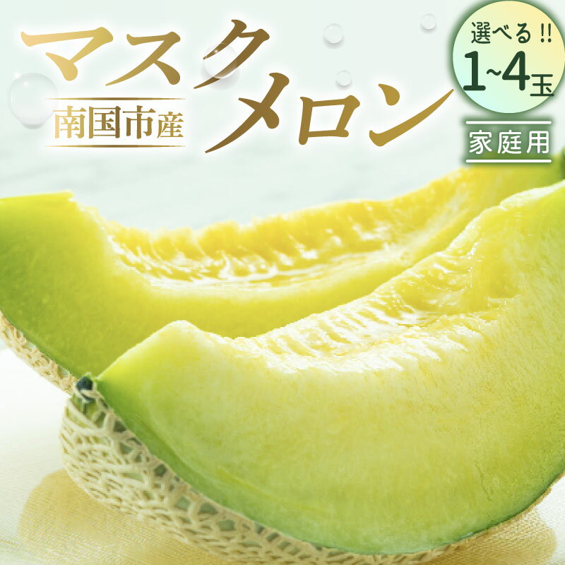 【ふるさと納税】 家庭用 マスクメロン 1個 2個 4個 メロン 1玉 2玉 4玉 メロン フルーツ 果物 くだもの 食品 デザート 訳あり 高評価 厳選 高級 贈り物 人気 おすすめ 産地直送 ふるさと納税メロン ふるさと納税 めろん 西島園芸団地 高知県 南国市