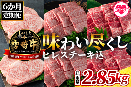 ＜【定期便6ヶ月】総重量2.85kgの宮崎牛味わい尽くし(ヒレステーキ込)＞宮崎県 国産【MI158-my】【ミヤチク】