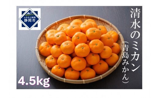 
                  【2027年1月中旬より順次発送】甘さと酸味がマッチした清水のミカン（青島みかん）4.5kg【配送不可：離島】◆
                