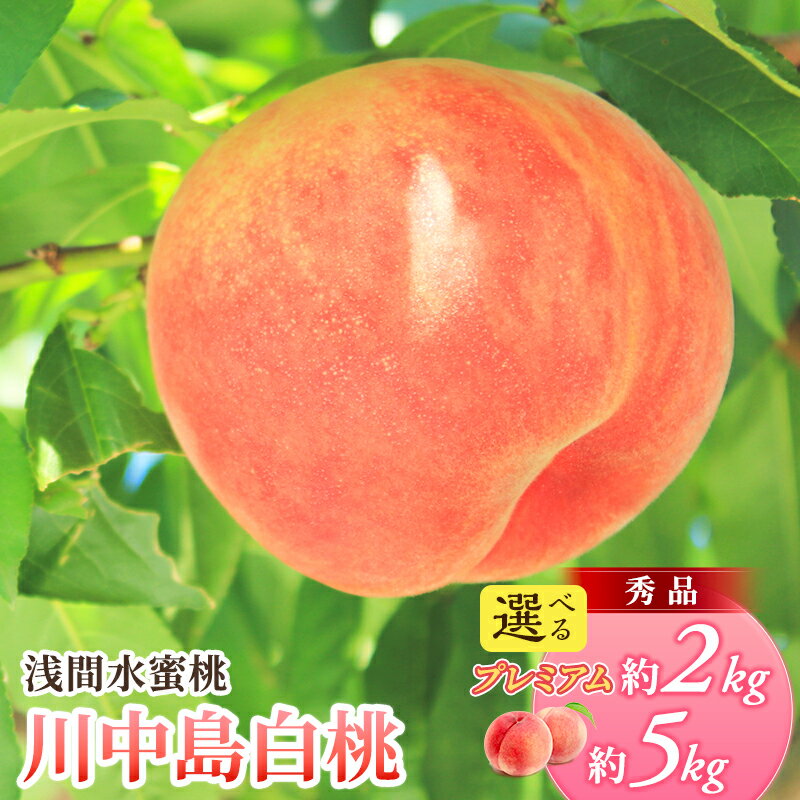 【ふるさと納税】先行予約 2026年発送 浅間水蜜桃 もも 川中島白桃 選べる容量(「浅間水蜜桃プレミアム」 秀品 約2kg 5～9玉/秀品 約5kg) 長野県産 小諸市 桃 果物 フルーツ モモ 果肉　お届け：2026年8月上旬～8月中旬 ※天候によりお届け時期が前後する場合があります。