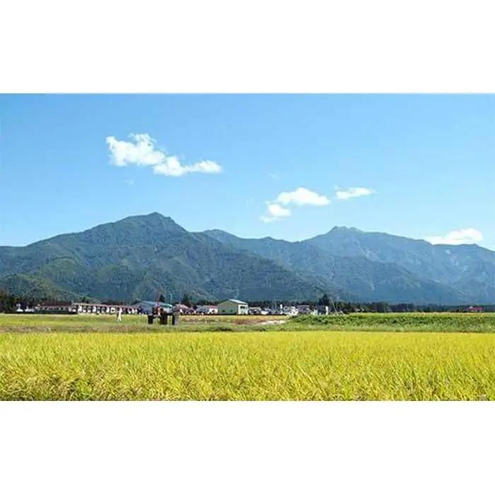 【令和7年】【定期便】南魚沼産塩沢コシヒカリ【従来品種】（特別栽培米８割減農薬）精米２ｋｇ×全３回｜コシヒカリ