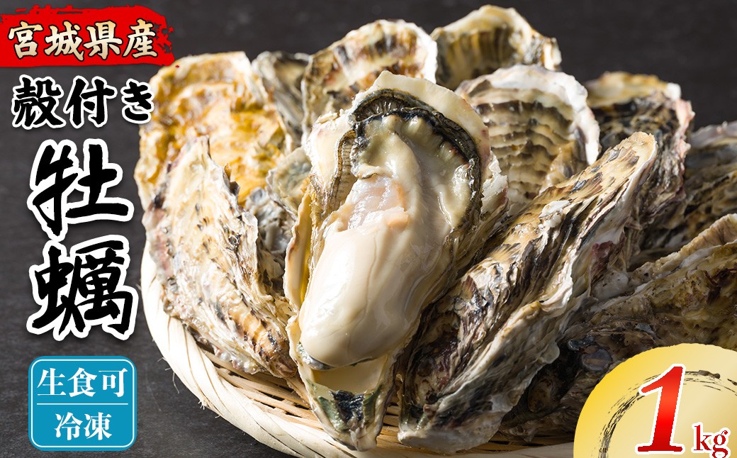 
                  松島牡蠣屋 冷凍牡蠣（生食用） 1kg 宮城県産 牡蛎 牡蠣 カキ オイスター カキフライ 牡蠣鍋 海鮮 国産 魚貝類 急速冷凍 【菊地水産合同会社】tm749
                