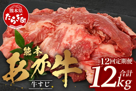 【 定期便 12回 】 熊本 あか牛 スジ肉 1㎏ × 12回 【 合計 12kg 】 牛スジ 熊本 熊本県産 あか牛 牛肉 ブランド 肉 お肉 ヘルシー すじ 牛スジ 牛筋 煮込み カレー 冷凍 国産 041-0167