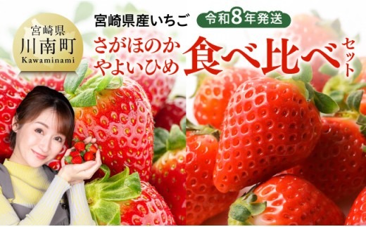【令和8年発送】　宮崎県産いちご　「さがほのか＆やよいひめ」食べ比べセット 【 先行予約 期間限定 果物 イチゴ 苺 フルーツ 】 [C03801]