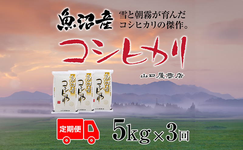 定期便 全3回 魚沼産コシヒカリ 5kg お米 米 コメ 