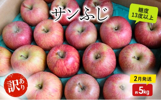 
                  りんご【2月発送】糖度13度以上 訳あり品 家庭用 サンふじ 約5kg【青森りんご】果物類 フルーツ 林檎 リンゴ 板柳町 青森県 おやつ デザート
                