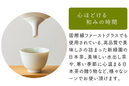 宮崎日本茶専門店 ミニ茶箱「空飛ぶお茶」高品質煎茶ティーバッグ 3g×15p【A187】