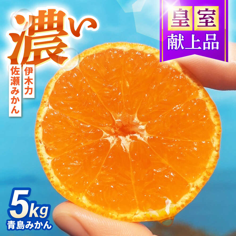 【ふるさと納税】青島みかん 5kg / みかん ミカン 佐瀬みかん 伊木力みかん 濃い 温州みかん 薄皮 5kg / 諫早市 / 伊佐農園[AHFI013]