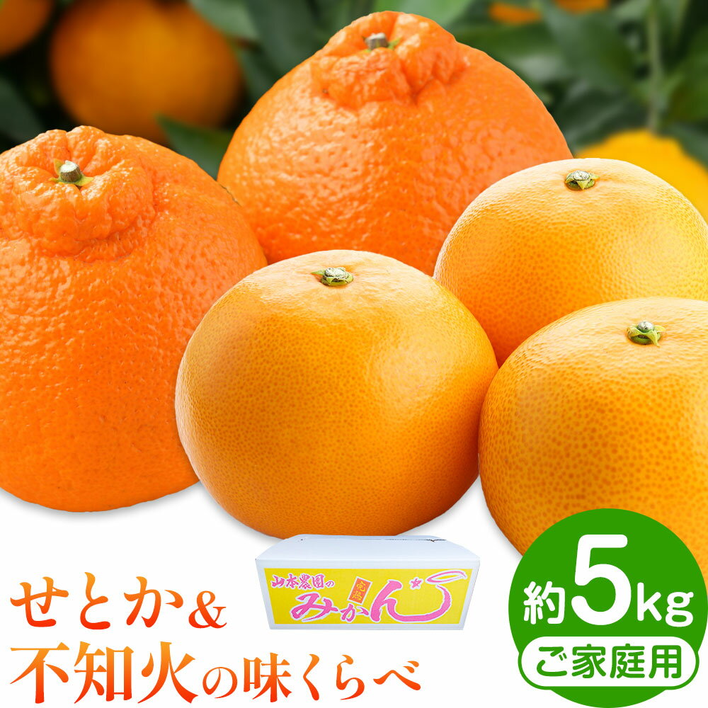 【ふるさと納税】せとか & 不知火 の 味くらべ 約5kg 家庭用 山本農園《3月上旬-4月中旬頃出荷》和歌山県 日高川町 柑橘 フルーツ 果物 みかん しらぬい デコポン と同品種 でこぽん 完熟 ご家庭用 食べ比べ
